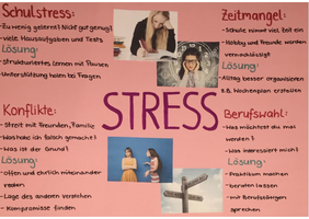 Thema: Stress